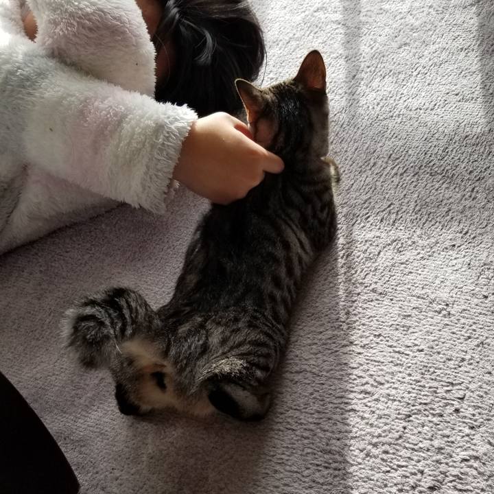 E99d6741 cf8f 4d0d 824f c4e8f6dd8926 1673651412219