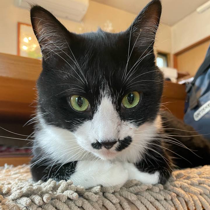 E99d728c 8478 4dea be23 9969de22c5db 1717367672018