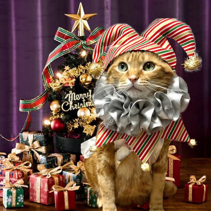 E99d904e 1b9c 4617 9fcc 5408e1749260 1671194545089