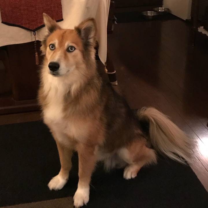 E99dd46b 5a08 453f 82bb bdeb6631658e 1537523633806