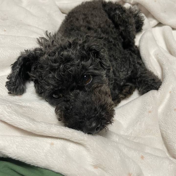 E99df8cc 054e 4789 b15d a42bdc78b326 1703759431730