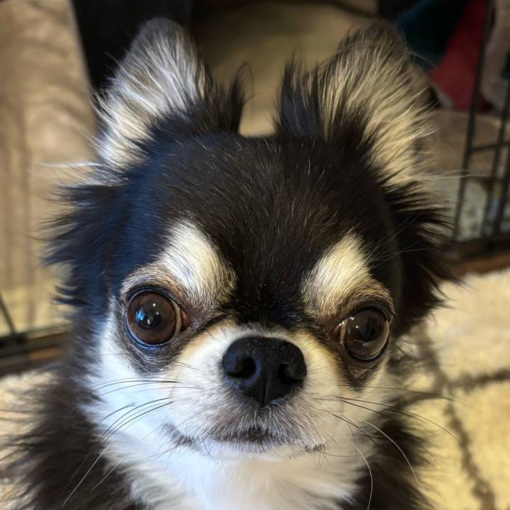 E99e05aa cabd 4128 b40e 262db36e4ce3 1737760973170