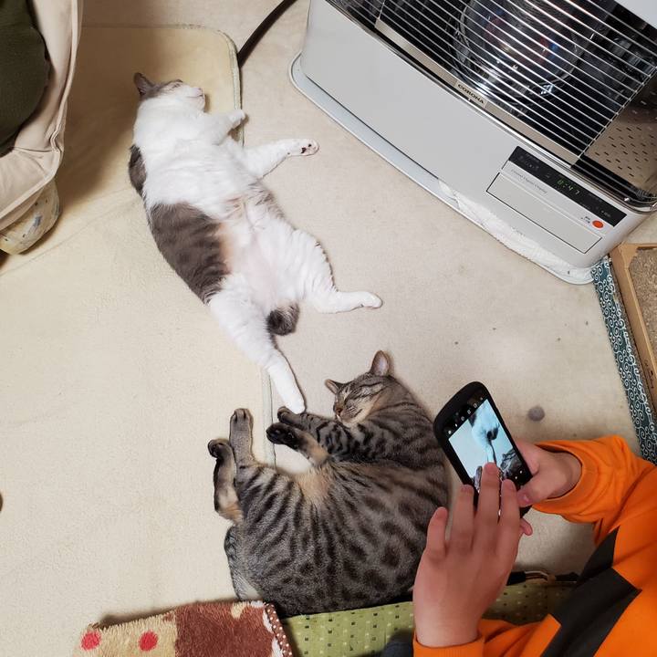 E99e82ff e090 4a4b 822b 76b350864198 1708065282138