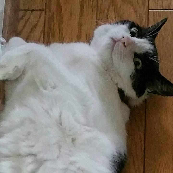 E99eb135 d753 471d 8302 e1bb80f5a9ab 1564439408830