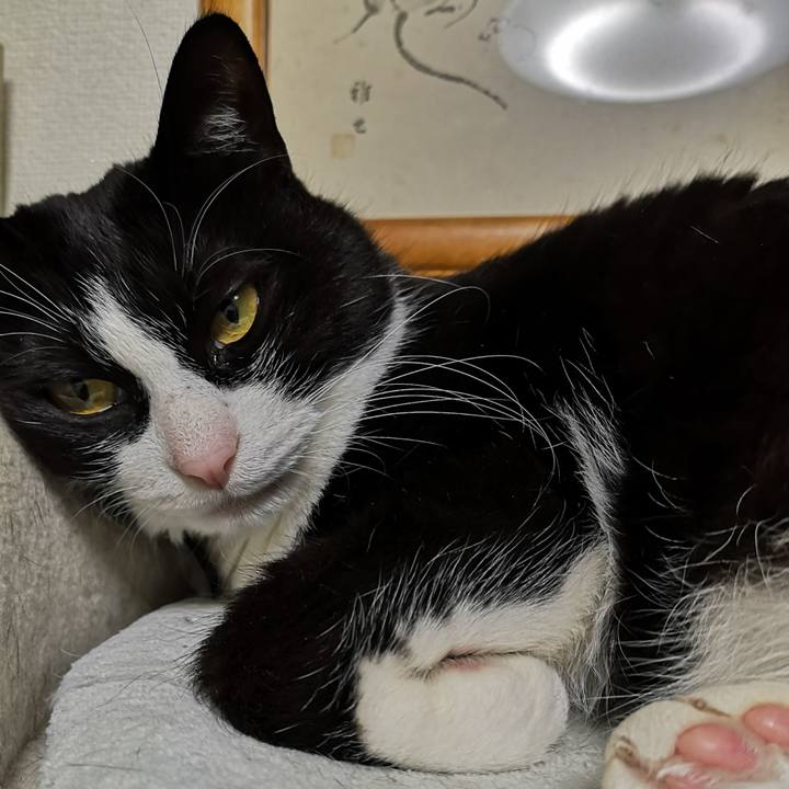 E99eb37e 4295 425c af39 0466874a5c3b 1648527250992