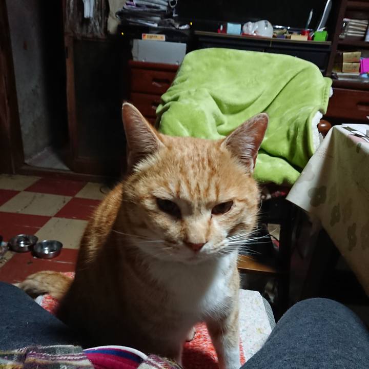 E99eb3dd 1539 42ee 8429 988f13840d3c 1583006888738