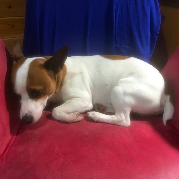 E99eb5f4 8d6f 4421 86eb 886c596ce7db 1530055002742