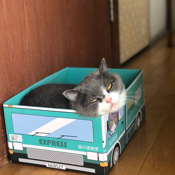 E99f2a7d 1a2a 478f 9f77 da7b2644c02a 1593600708690