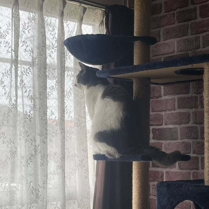 E99f334e 567c 4a61 ac9f 1c1f3bf90a48 1729899763501