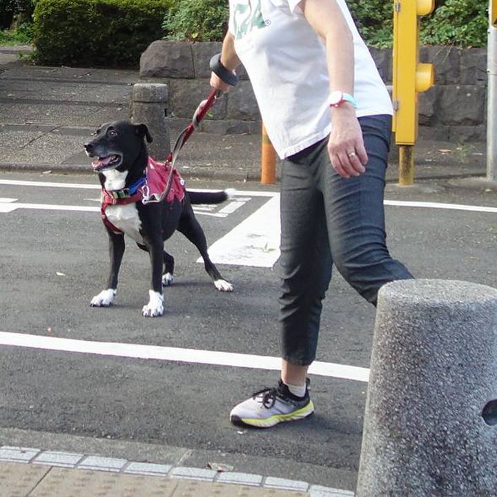 E99f4b62 f7aa 4852 8e49 a0c5cb91acb4 1693010280376