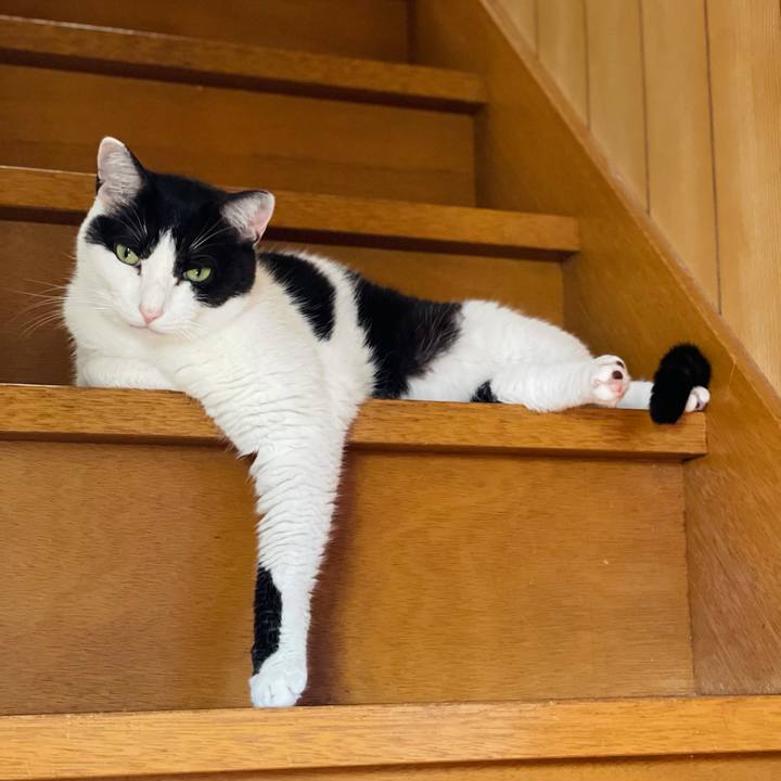 E99f64d9 98b7 43fa 84a5 c2cc9d120c07 1628390826030