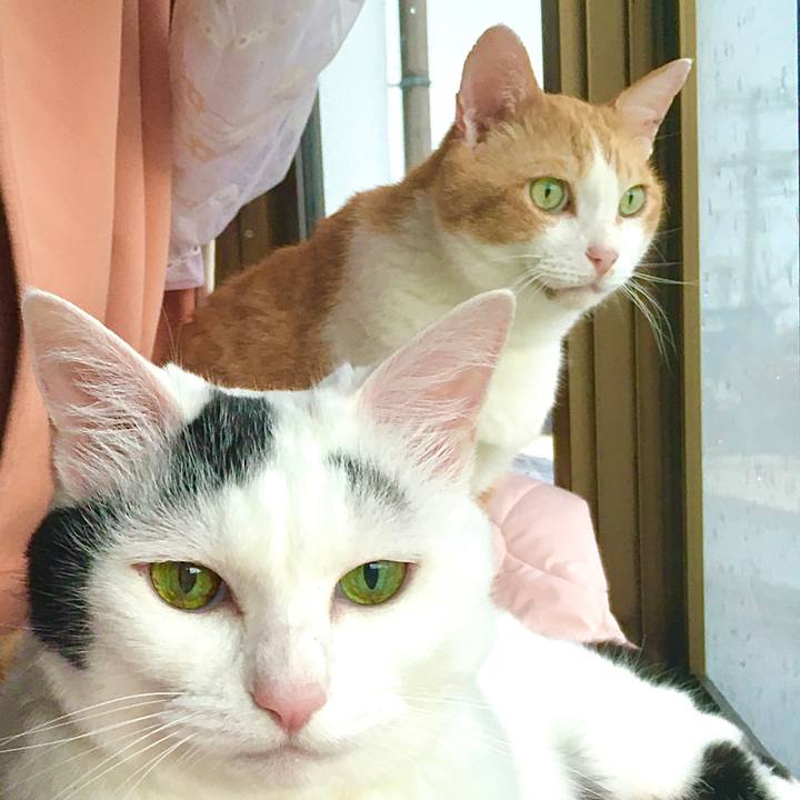 E99f818a 74bc 4f04 aa57 1413ab11eca0 1594622411688