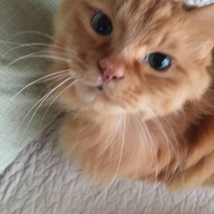 E99fa38c 344e 47ab bd71 0b5177e7387b 1548630185120