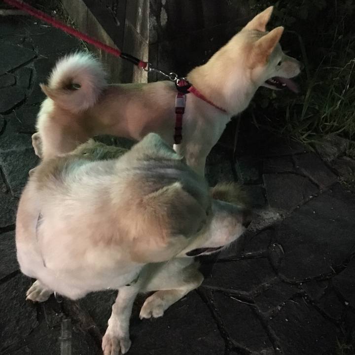 E99fdb01 2681 46df a0e8 4e3d2cdc9a21 1529406756656