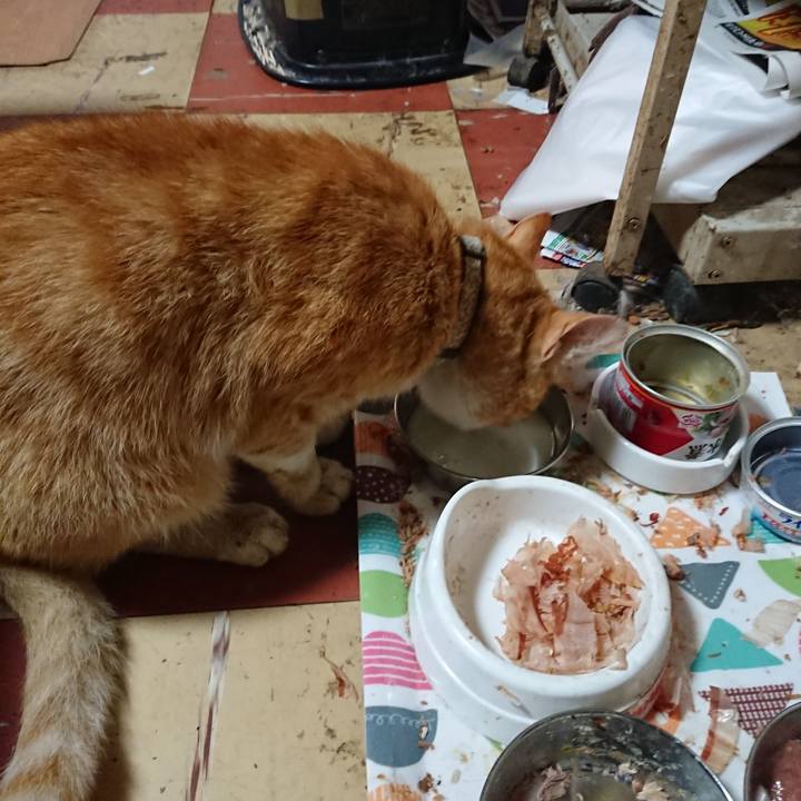 E99fe242 2d5c 45ff a033 efa26b7221b8 1591131358827