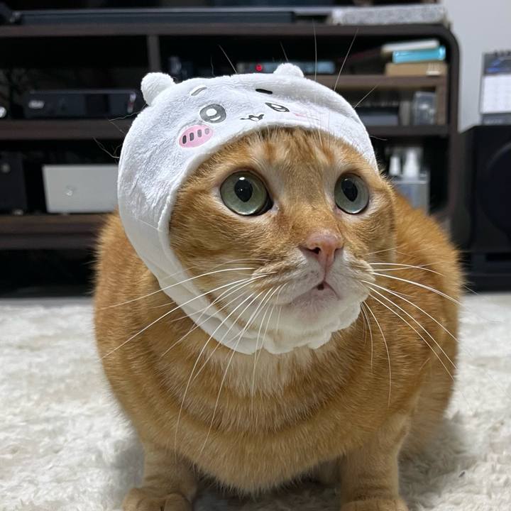 E9a00edf a8f0 492d bc96 153143c605f4 1700084734260