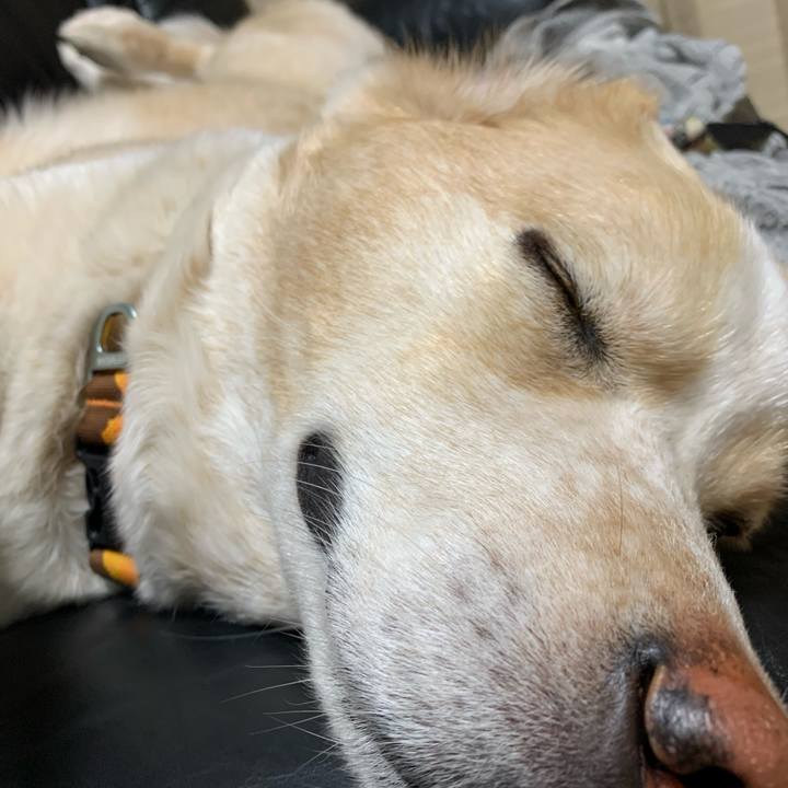 E9a02354 5794 449b 9567 128e7daff653 1585924941153