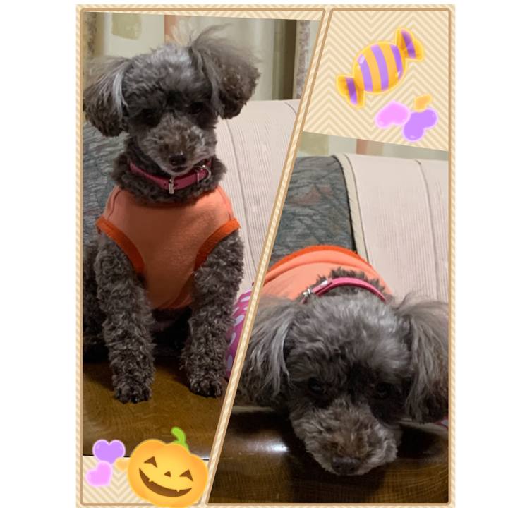 E9a0569d 6b17 4d45 a14a d5698f8a18ff 1602668008927