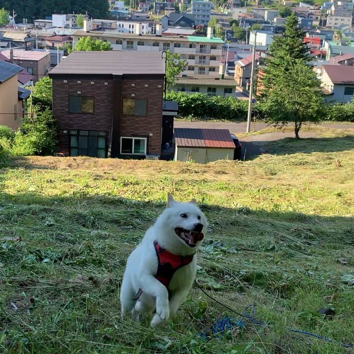 E9a08b1e 2bbf 4f04 9469 5ea72f87824b 1657492307902