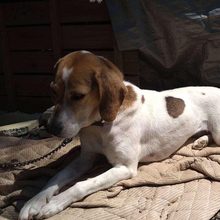 E9a0acb3 a7f0 4f8d a8fc a9efc3c3a8bb 1651815331285