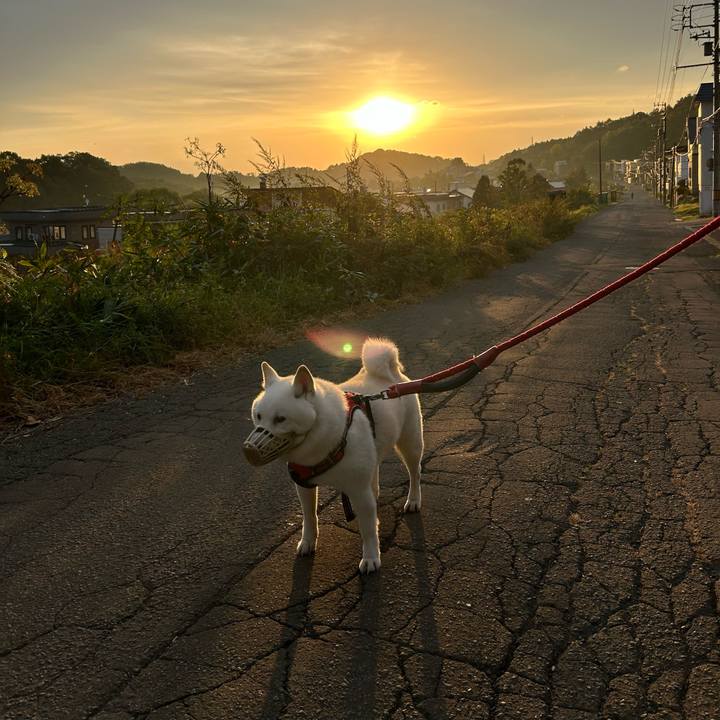 E9a0c9ad 6a9d 4c97 b7af 227cb780859a 1759613715053