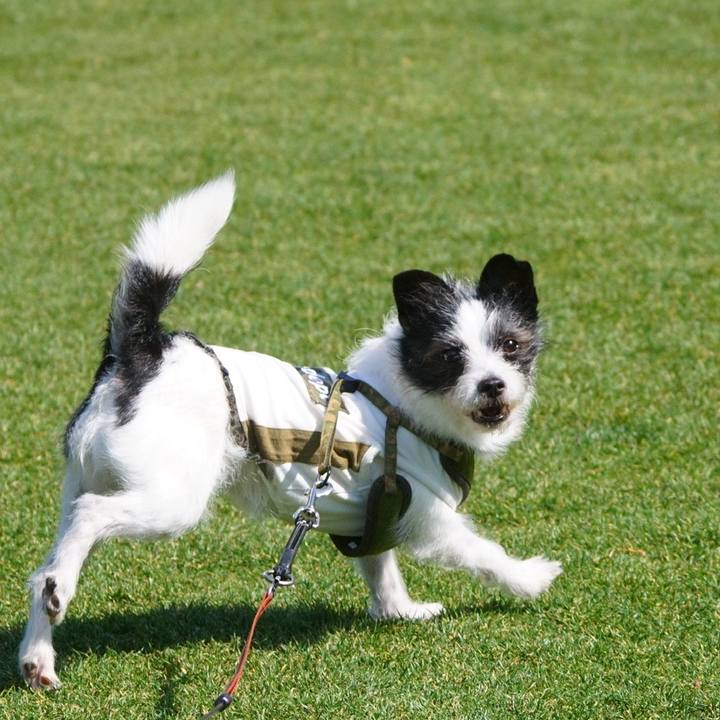 E9a0dcab 95bd 4591 9212 f1312eb9ad2d 1618925769006