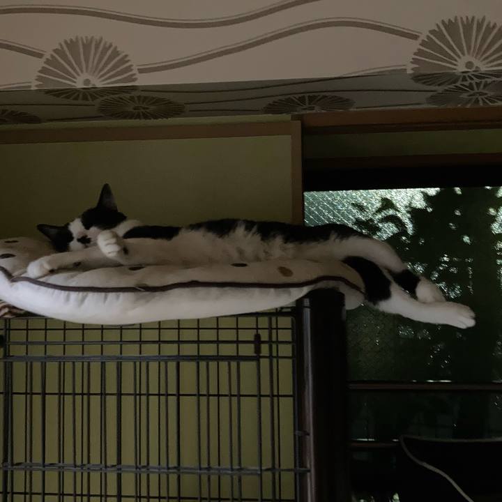 E9a11fcc c949 4ad0 b6bc 1844cf3ddd2c 1690288751262