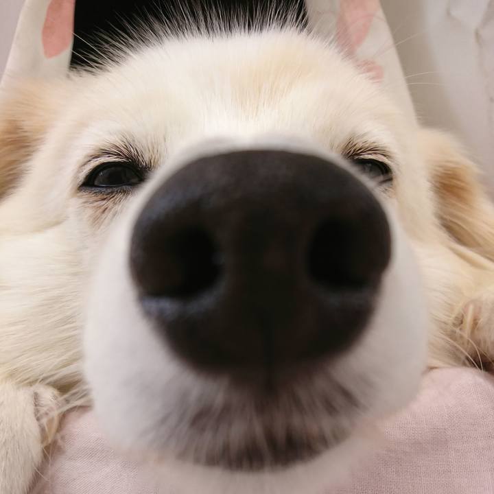 E9a146eb 924d 4783 a8c1 6cd169bed53e 1762047729699