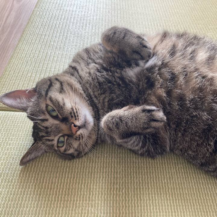 E9a19d40 cb52 461e bb7d 319d02139c8d 1725751814704