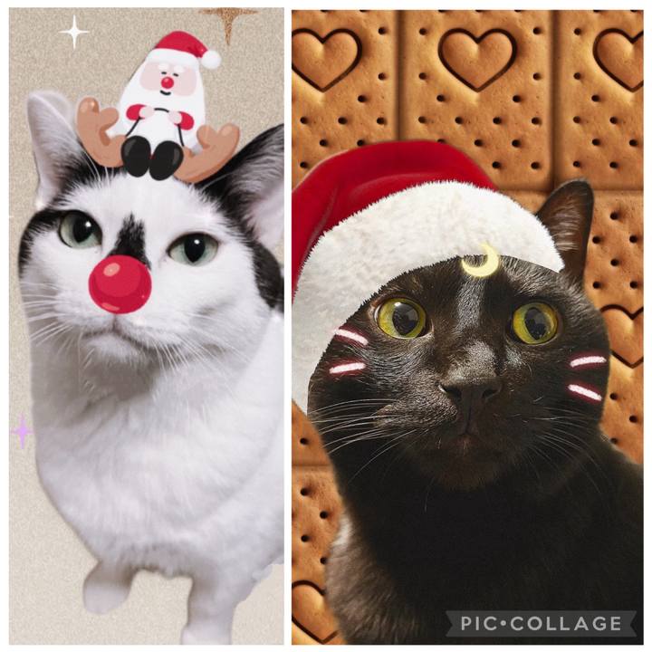 E9a1b986 5c79 4762 9e1d c912a99b390d 1766588547573