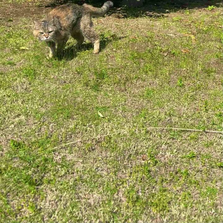 E9a1f42a e885 49fc 9cf3 7cf5e332021f 1710902329133