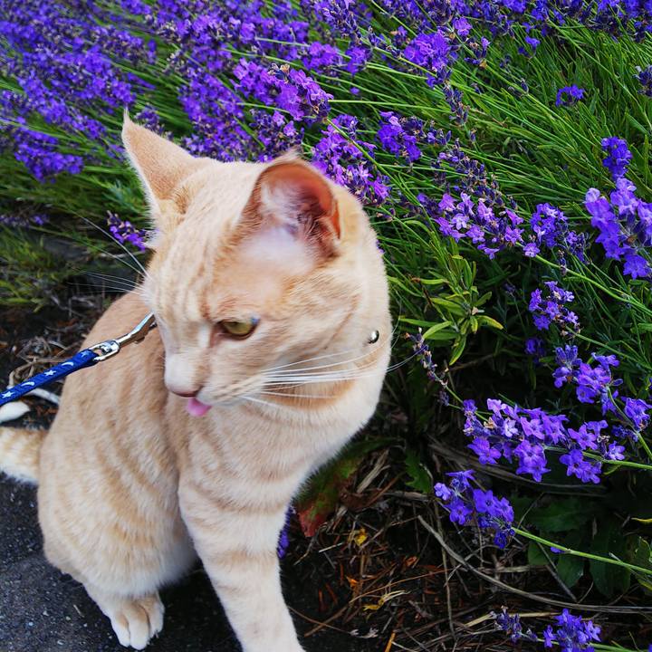 E9a20985 4fa8 4cf5 8db1 b96750826055 1563593884203