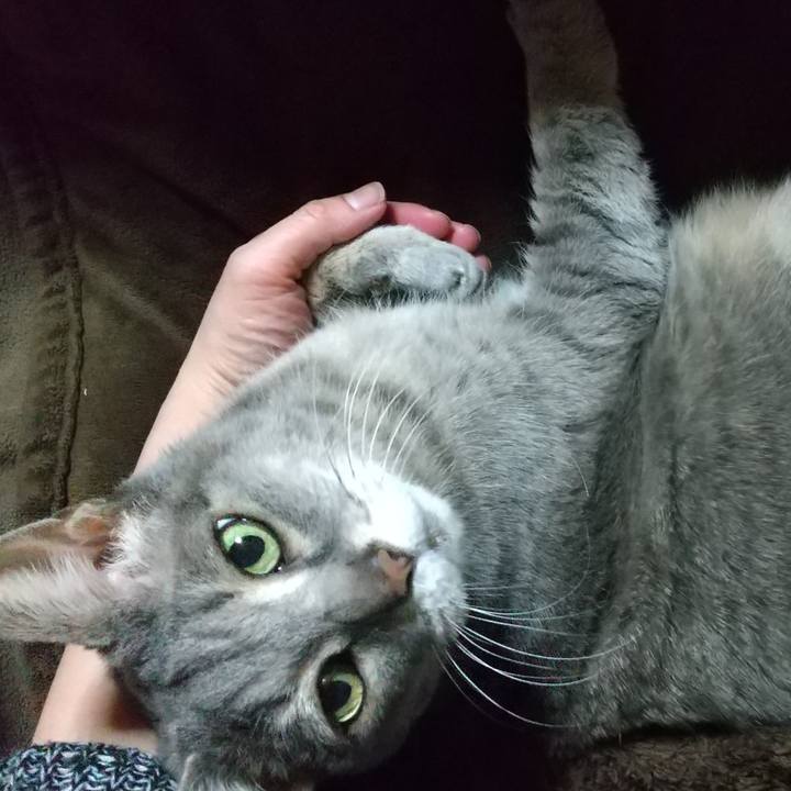 E9a20c2a 6124 4abb 9a9a 12e0d0803f4e 1614945460081