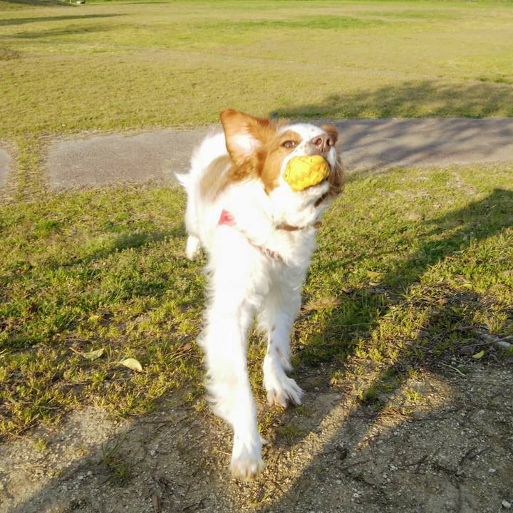 E9a25b90 894f 4574 ae86 0c0aa96cbc65 1554281694019