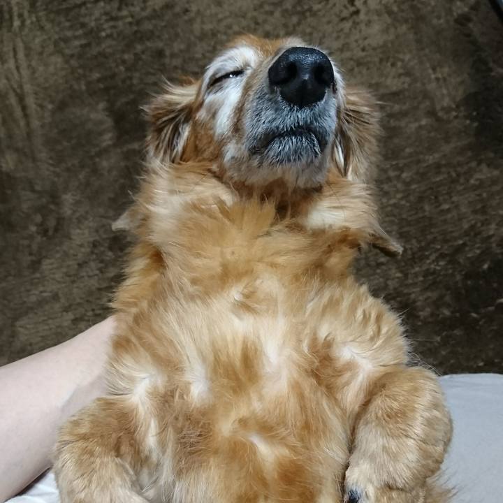 E9a27933 4749 4368 a133 0fb27f807475 1511373670833