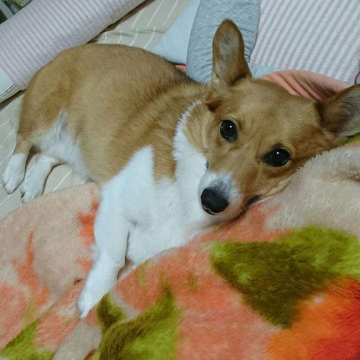 E9a29649 9988 4d85 bd6c ed9d50f7cd9f 1509523775029