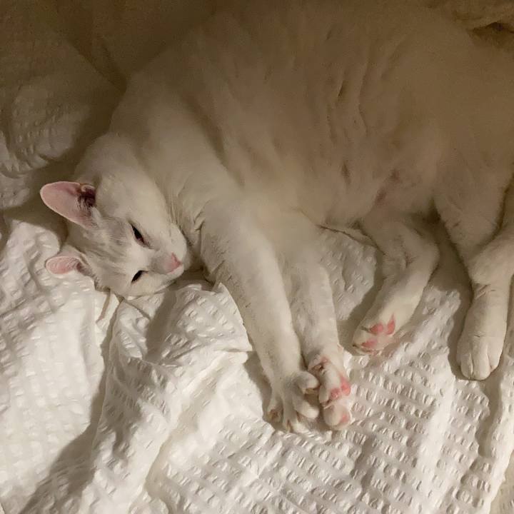 E9a2bb50 bacc 4e48 b656 4d58ab28b418 1726925587089