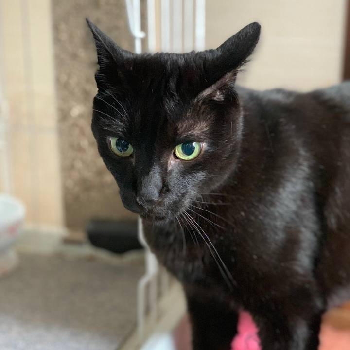 E9a2c33d 9cf2 4eb1 b810 2d15dada4e11 1557017843946