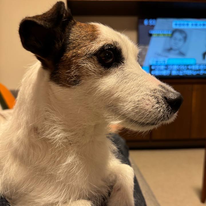 E9a2c784 01a3 4173 906b 7940b3560b9c 1770995436499