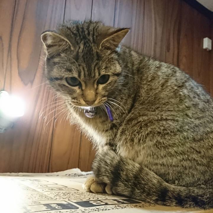 E9a326e0 52c1 485d 9ee8 225be10c8091 1550240120730