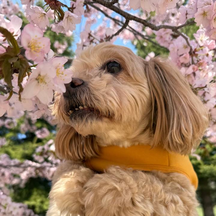 E9a357d6 7800 42b4 b950 c97159f62507 1777260721163