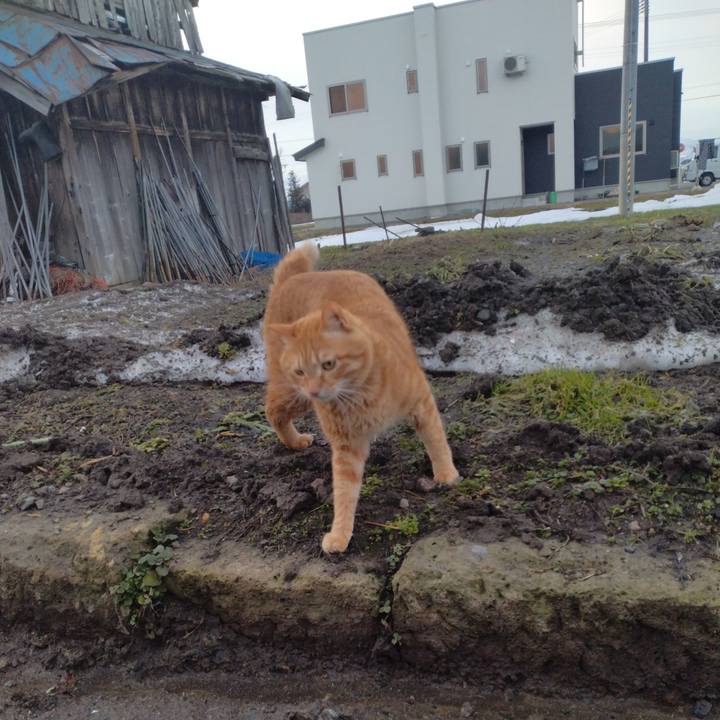 E9a357fd 7b51 4a50 aa42 cb33707a725e 1678747480599