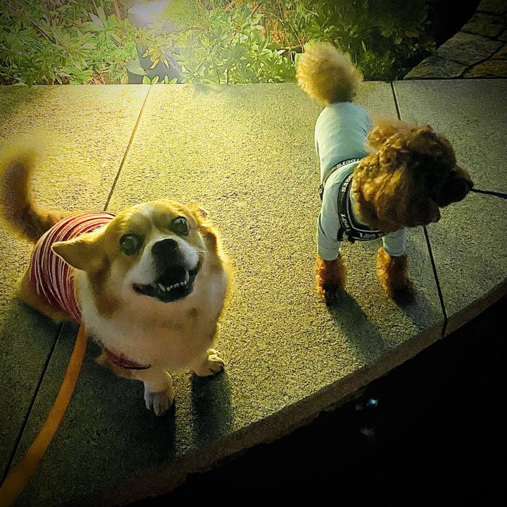 E9a3863a 24a0 4b4f 95ad d79c05e12245 1718846584549