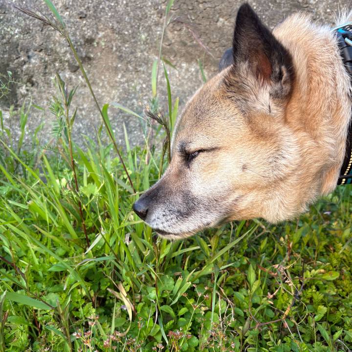 E9a3c8b4 13d9 43dd 97b6 350180526bca 1747225485375