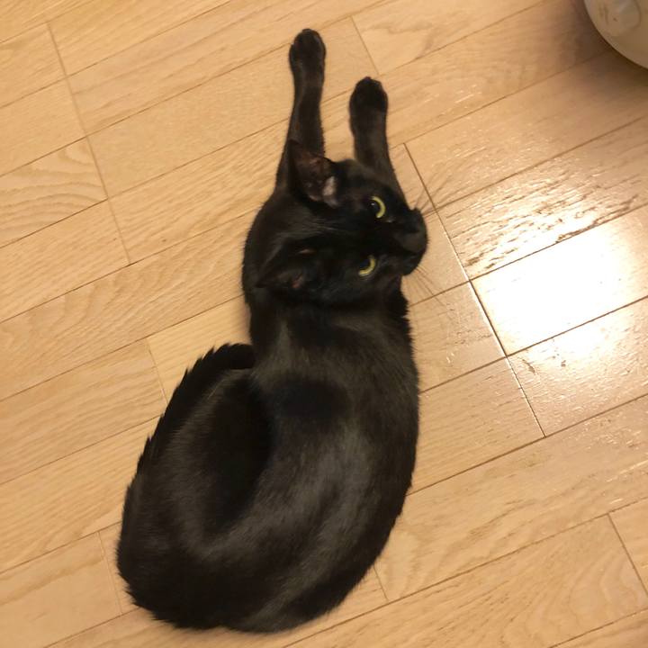 E9a3d03f cca9 43c5 9eea a6540ced44f9 1579607792941