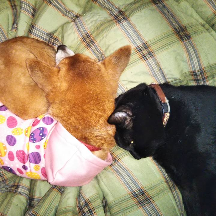 E9a3ef10 11f7 4180 8e83 643b6d9e2495 1604591884873