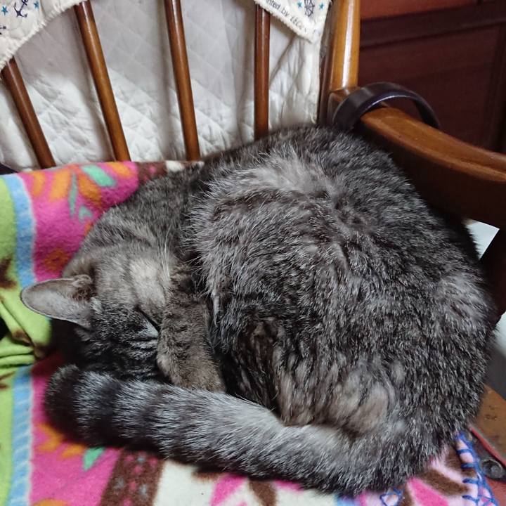 E9a40425 9a8a 408a 936e 1e673365d530 1577844973736