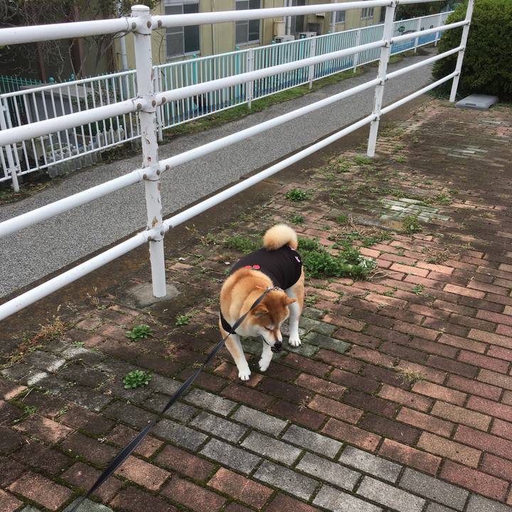 E9a40639 da49 42bf 9b64 30b6e2695c2b 1541564090911