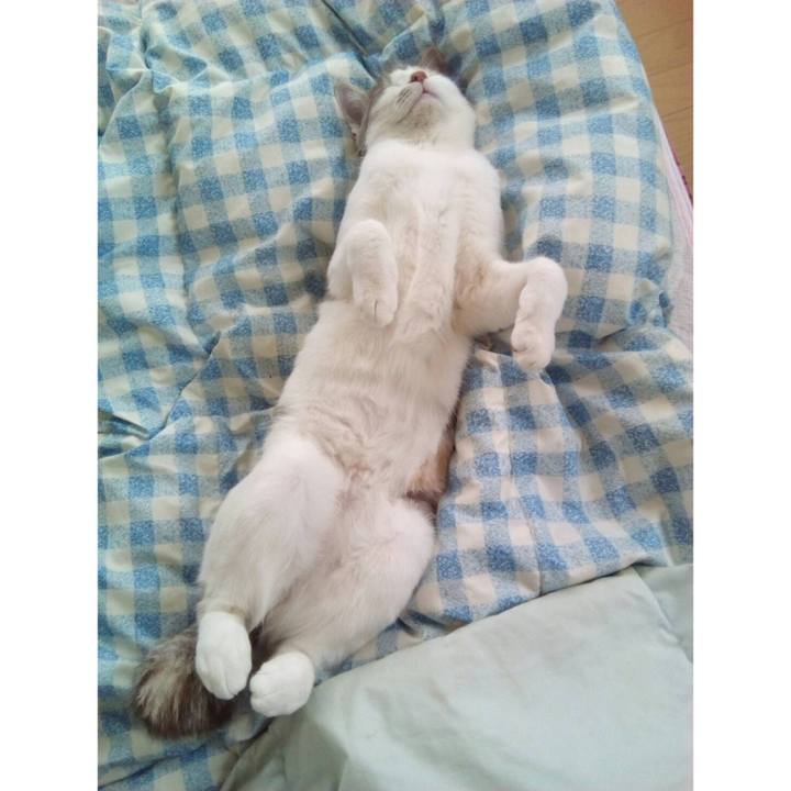 E9a43b5b 3ccc 4726 9c5a 5657ac76049a 1654143102683