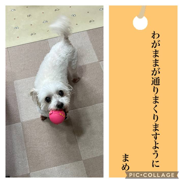 E9a44435 18ad 4234 abd4 da9a5b208db5 1720347812738